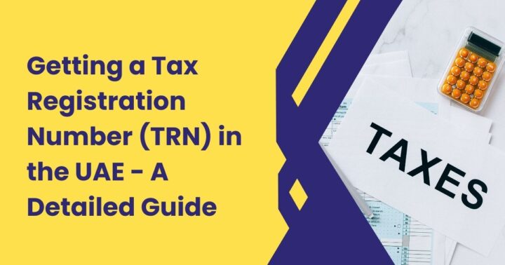 this image is showing about 'guide to tax registration number'