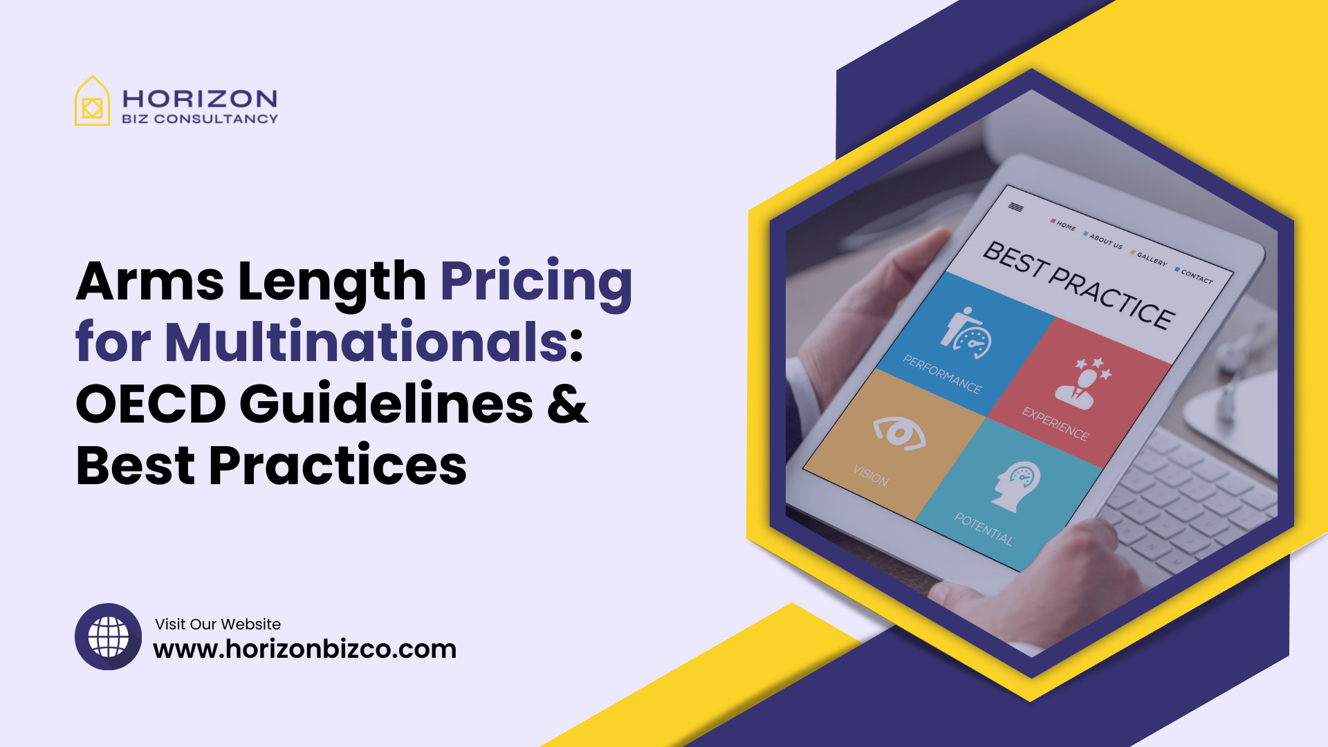 Arms Length Pricing for Multinationals OECD Guidelines & Best Practices